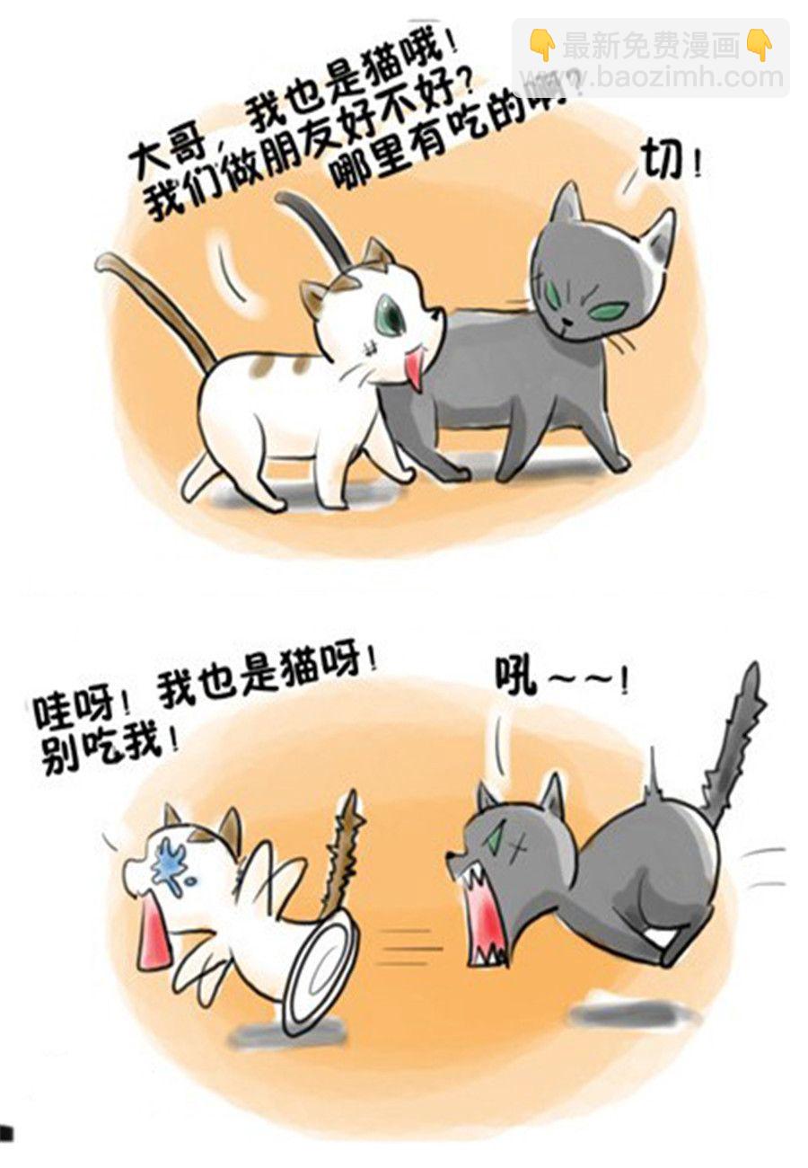 《喵喵家族》喵喵家族 第8集 第5页