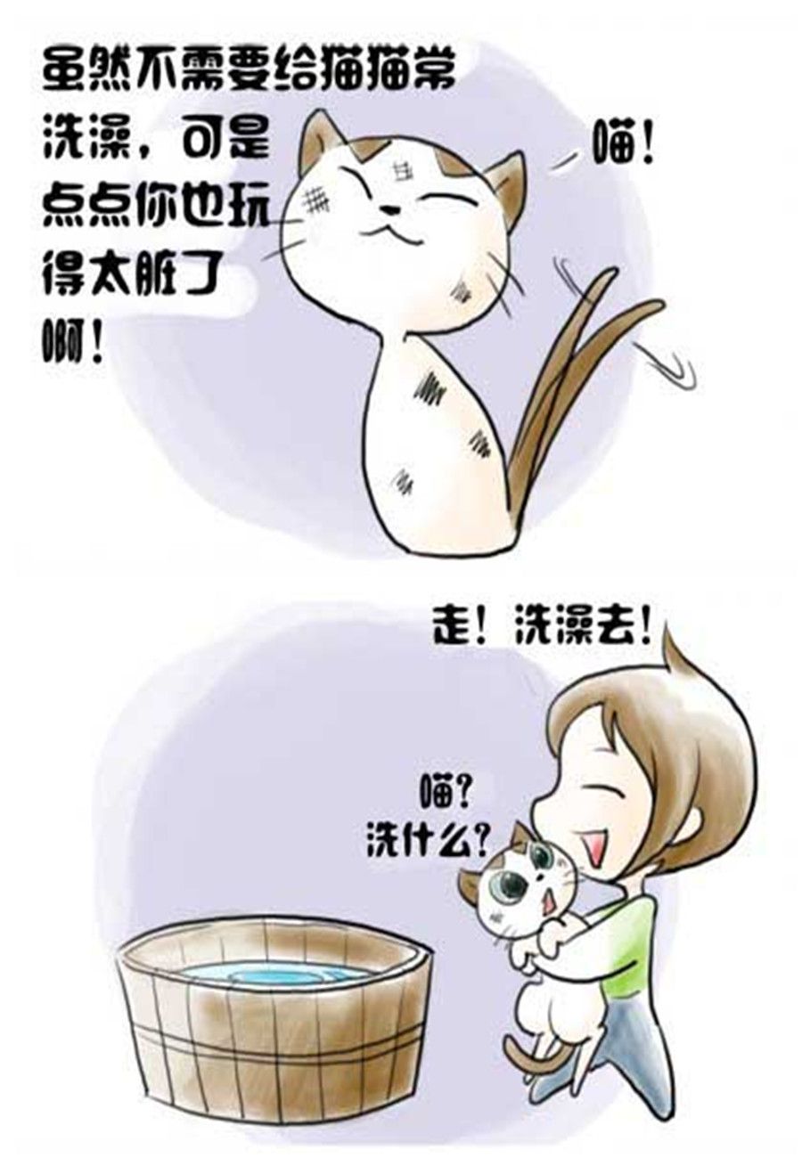 《喵喵家族》喵喵家族 第5集 第6页