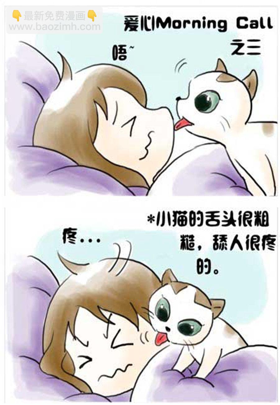 《喵喵家族》喵喵家族 第5集 第4页