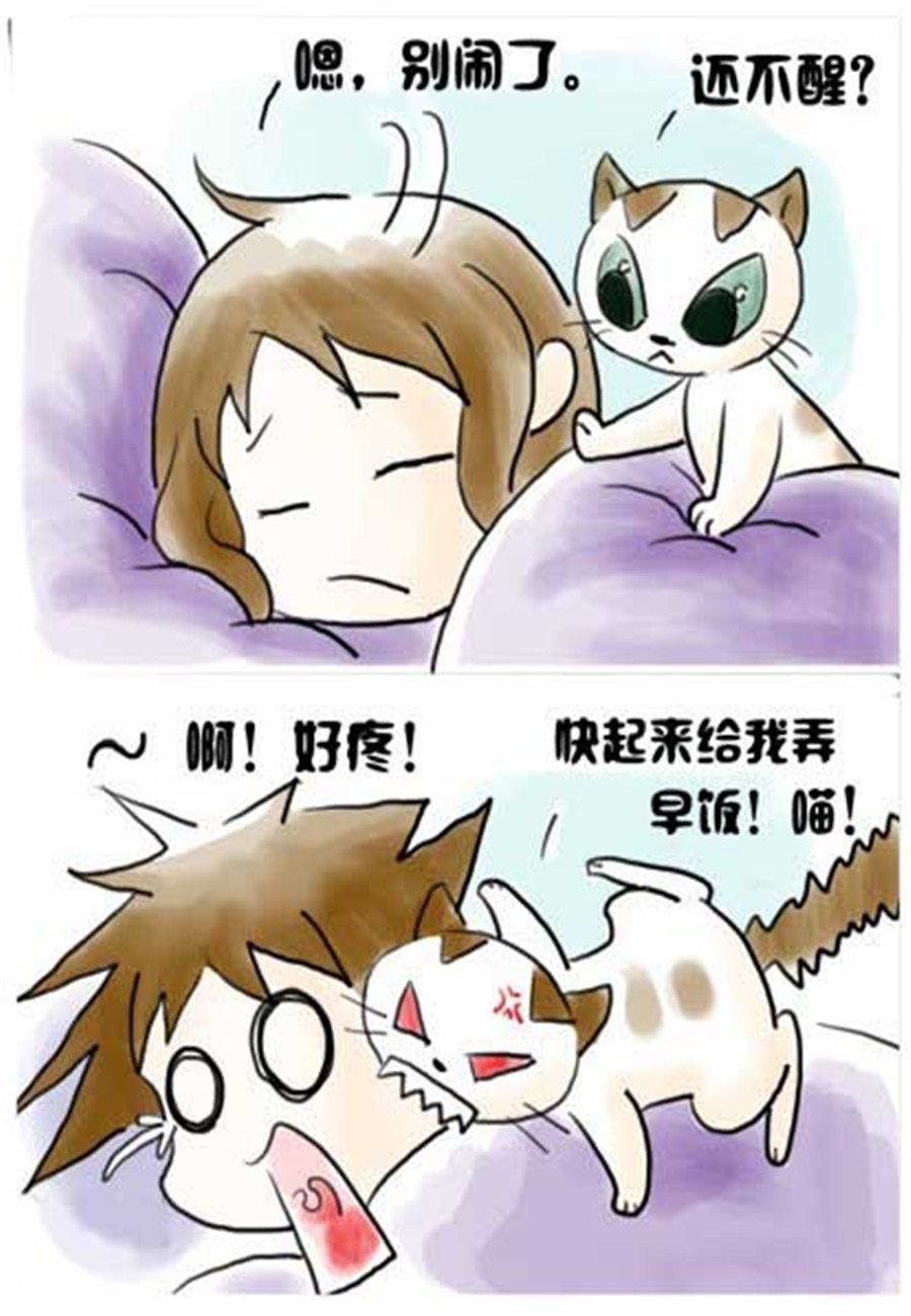 《喵喵家族》喵喵家族 第5集 第5页
