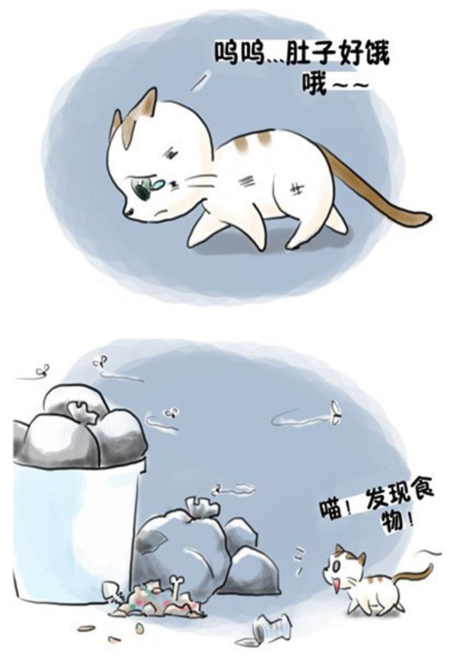 《喵喵家族》喵喵家族 第8集 第2页