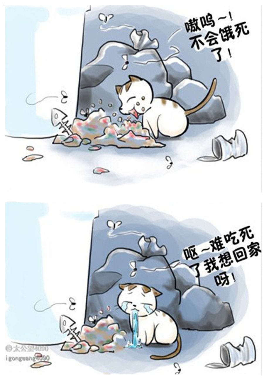 《喵喵家族》喵喵家族 第8集 第3页