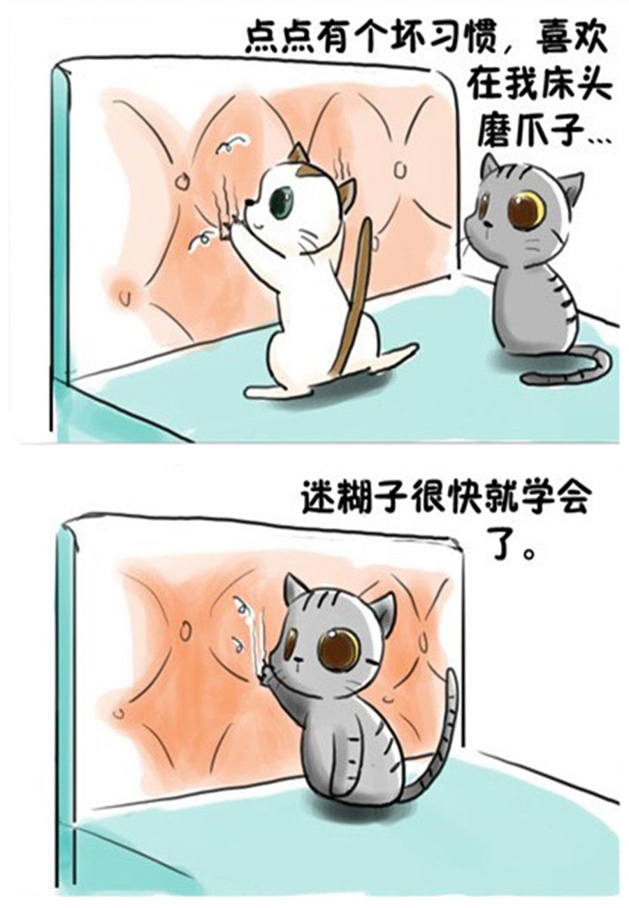 《喵喵家族》喵喵家族 第11集 第2页