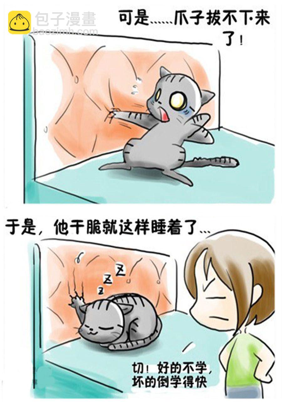 《喵喵家族》喵喵家族 第11集 第3页