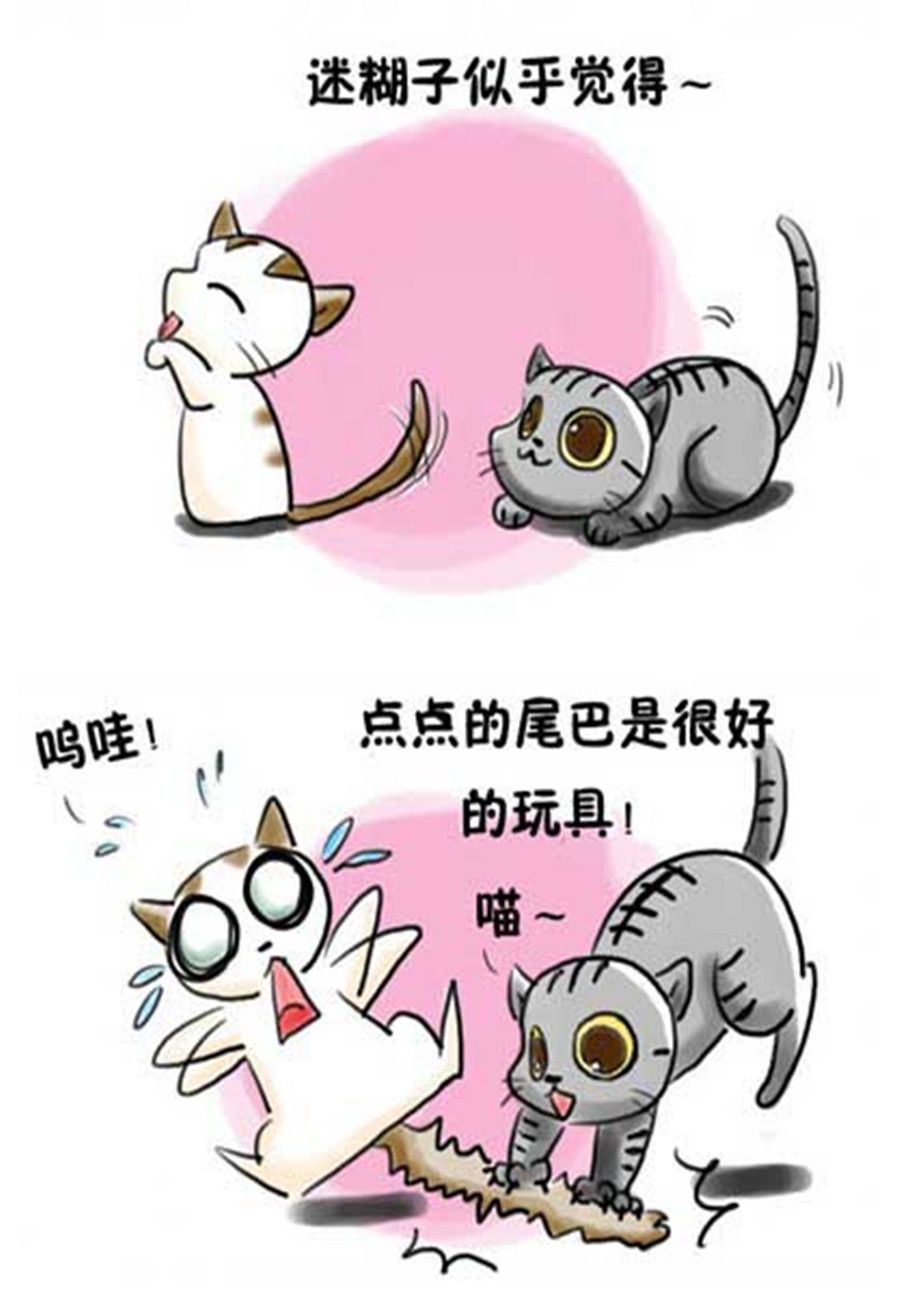 《喵喵家族》喵喵家族 第11集 第5页