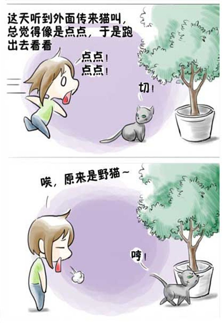 《喵喵家族》喵喵家族 第9集 第2页