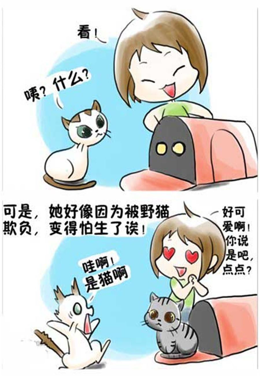 《喵喵家族》喵喵家族 第9集 第7页