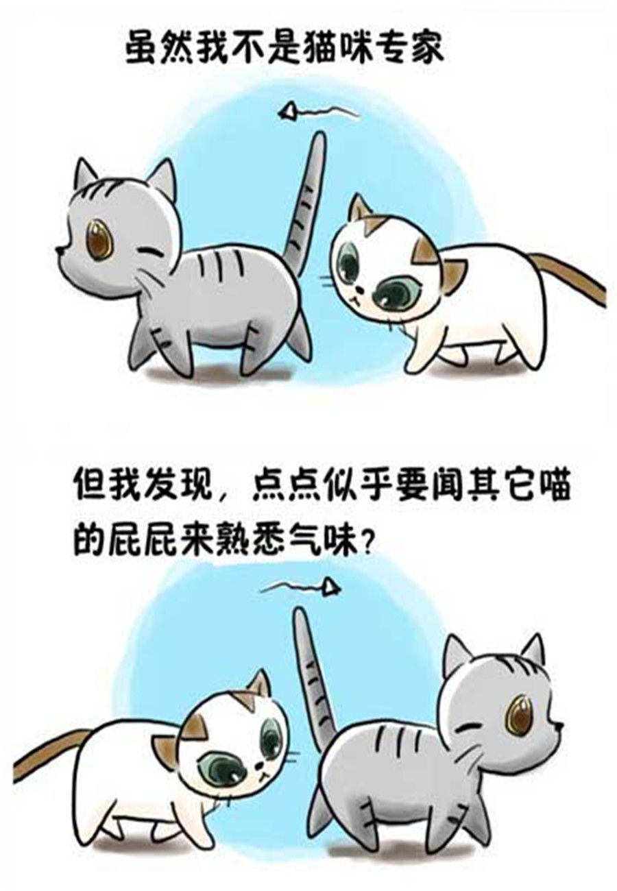 《喵喵家族》喵喵家族 第12集 第4页