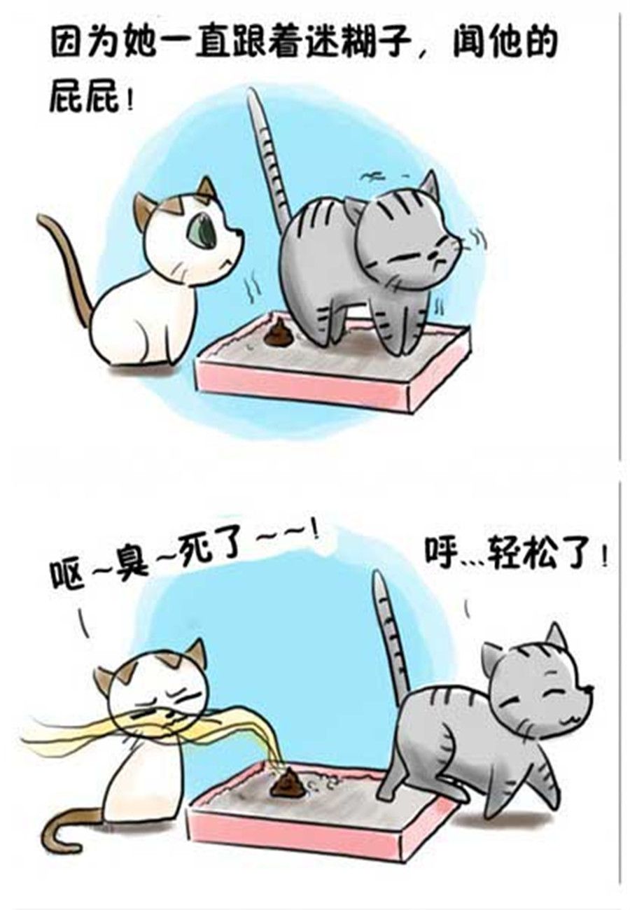 《喵喵家族》喵喵家族 第12集 第5页