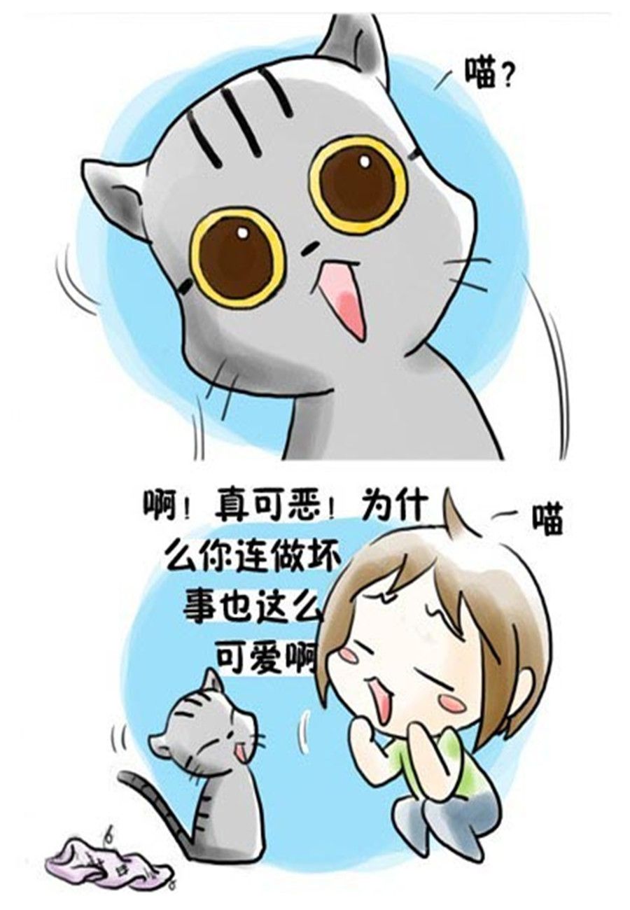 《喵喵家族》喵喵家族 第12集 第7页