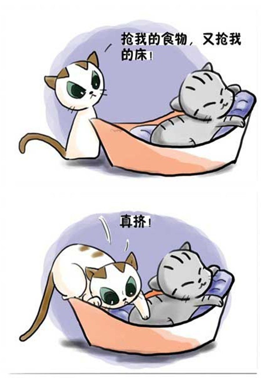 《喵喵家族》喵喵家族 第14集 第2页