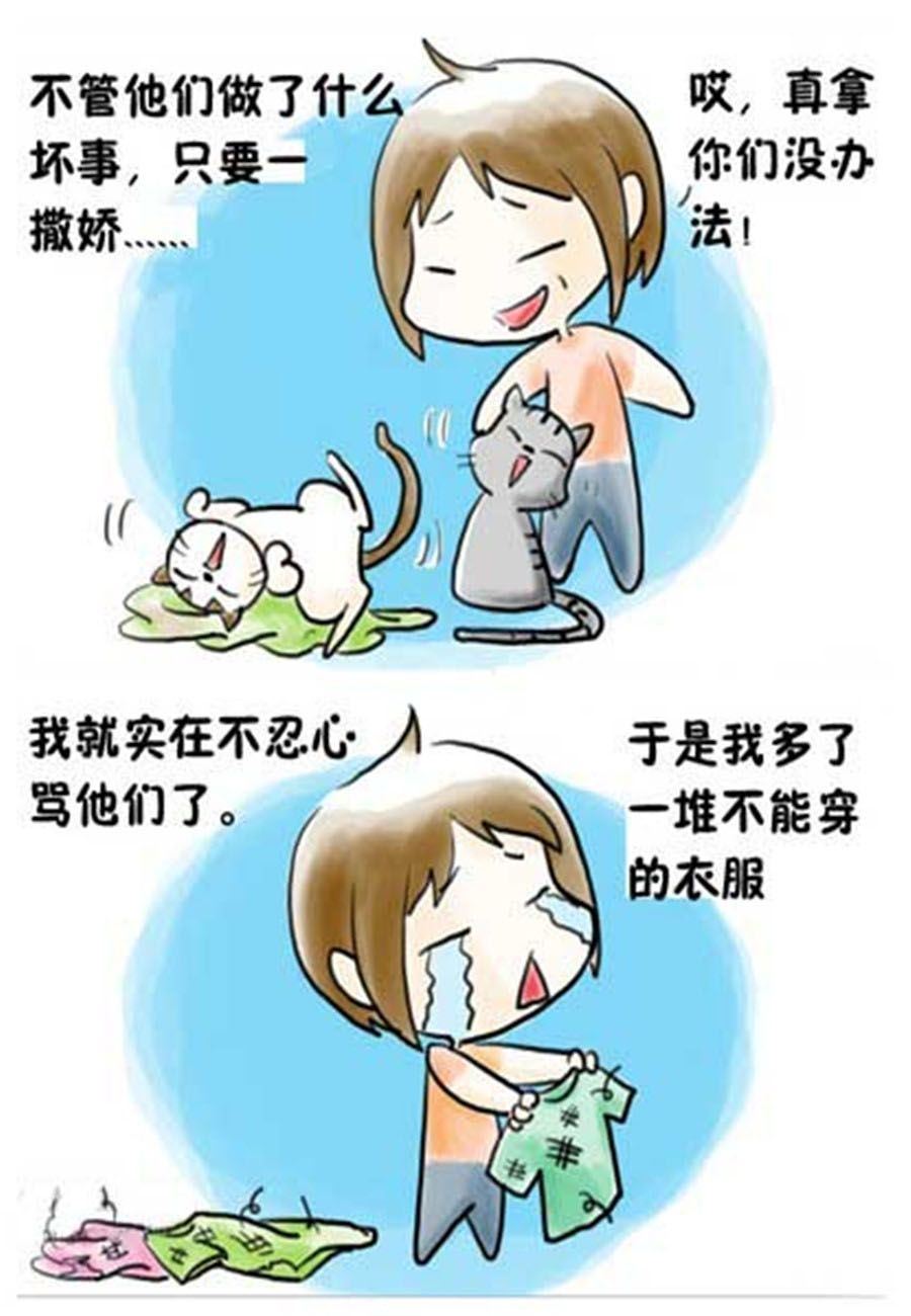 《喵喵家族》喵喵家族 第13集 第2页