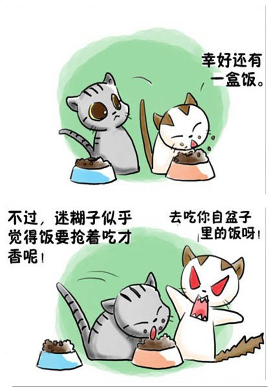 《喵喵家族》喵喵家族 第13集 第4页
