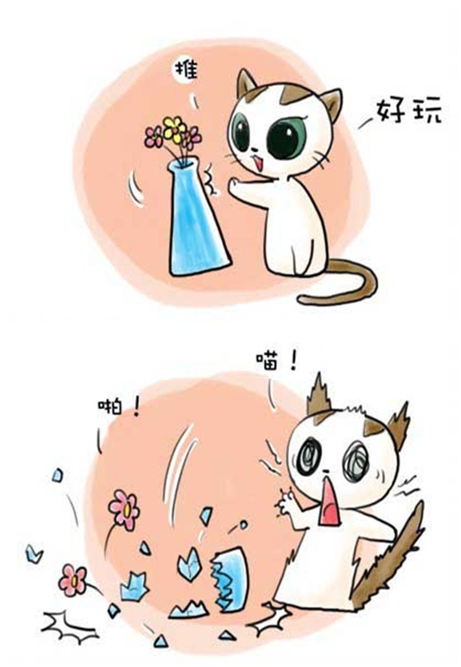 《喵喵家族》喵喵家族 第13集 第5页