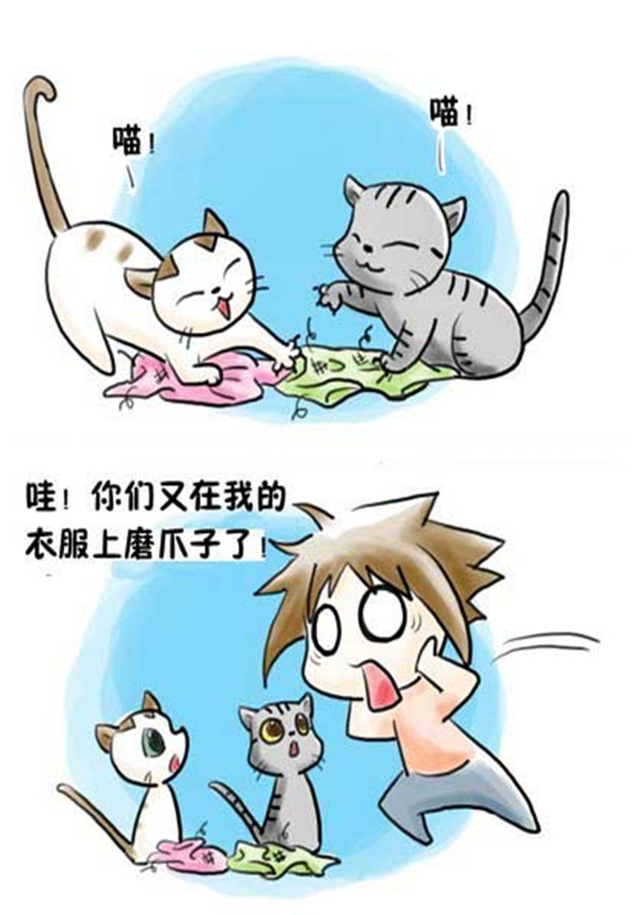 《喵喵家族》喵喵家族 第13集 第7页