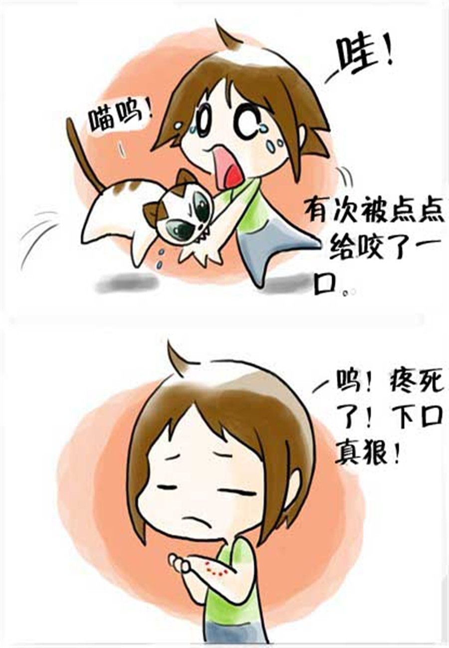 《喵喵家族》喵喵家族 第16集 第2页