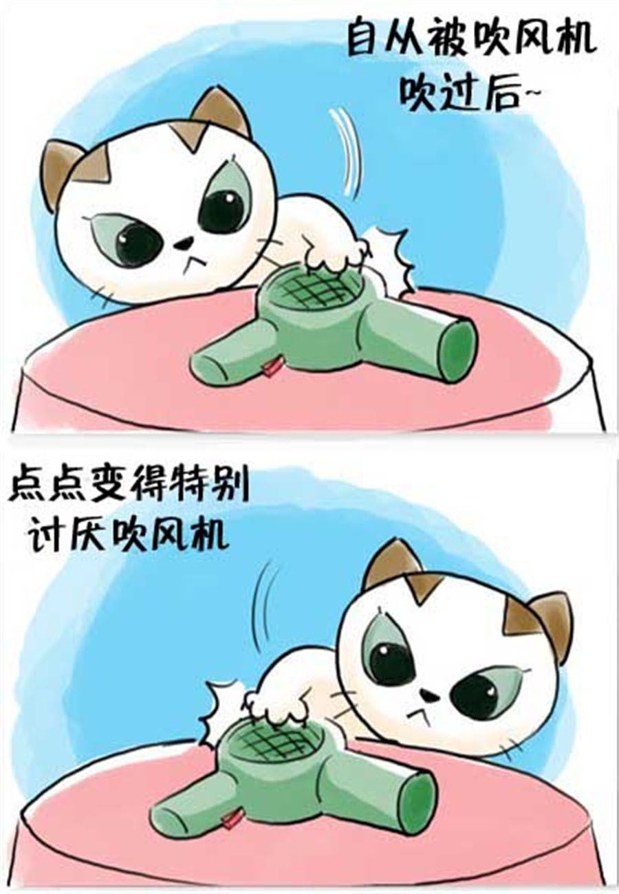 《喵喵家族》喵喵家族 第15集 第4页