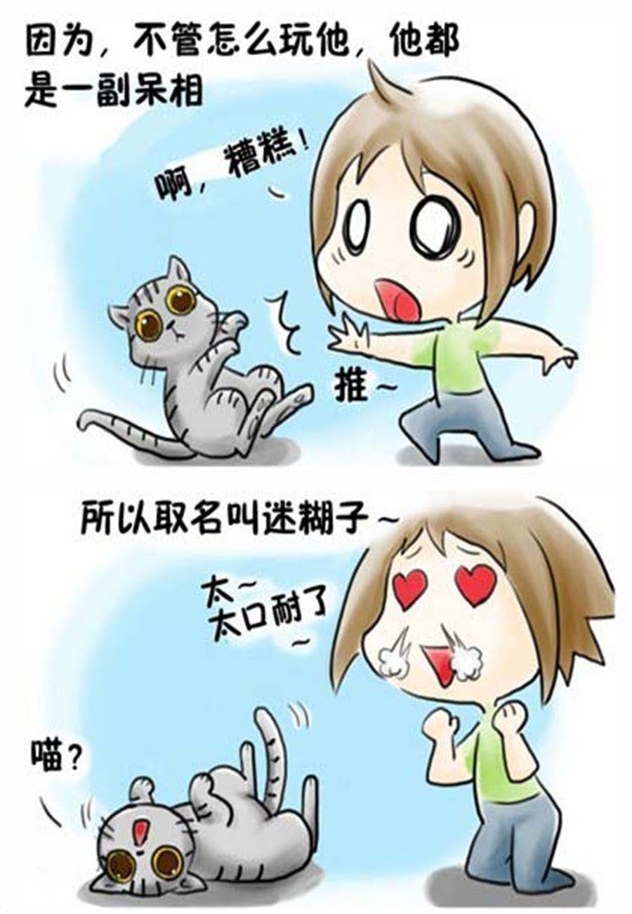 《喵喵家族》喵喵家族 第10集 第3页
