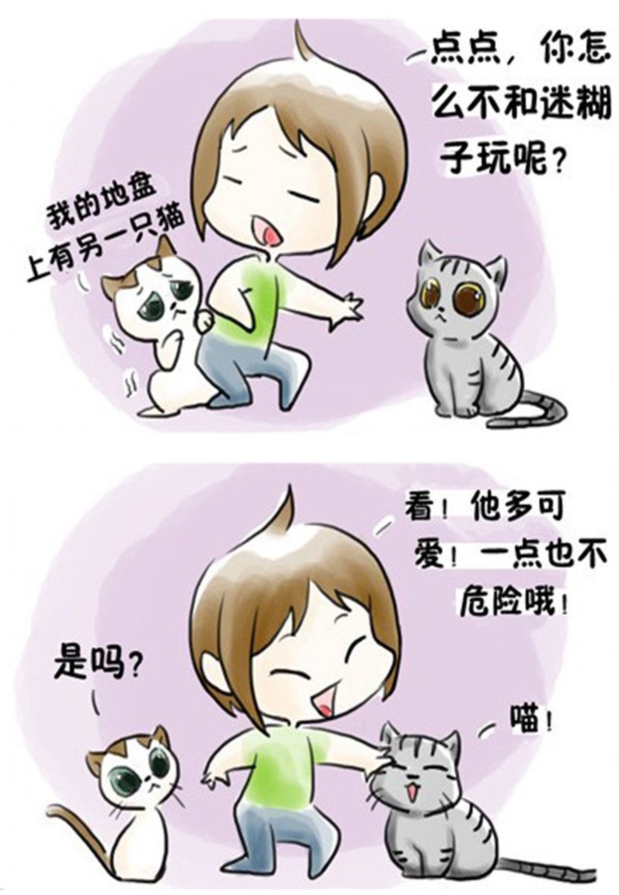 《喵喵家族》喵喵家族 第10集 第6页