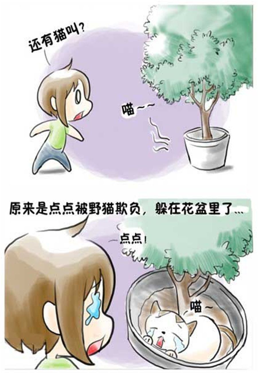 《喵喵家族》喵喵家族 第9集 第3页