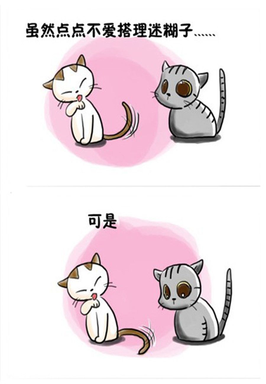 《喵喵家族》喵喵家族 第11集 第4页
