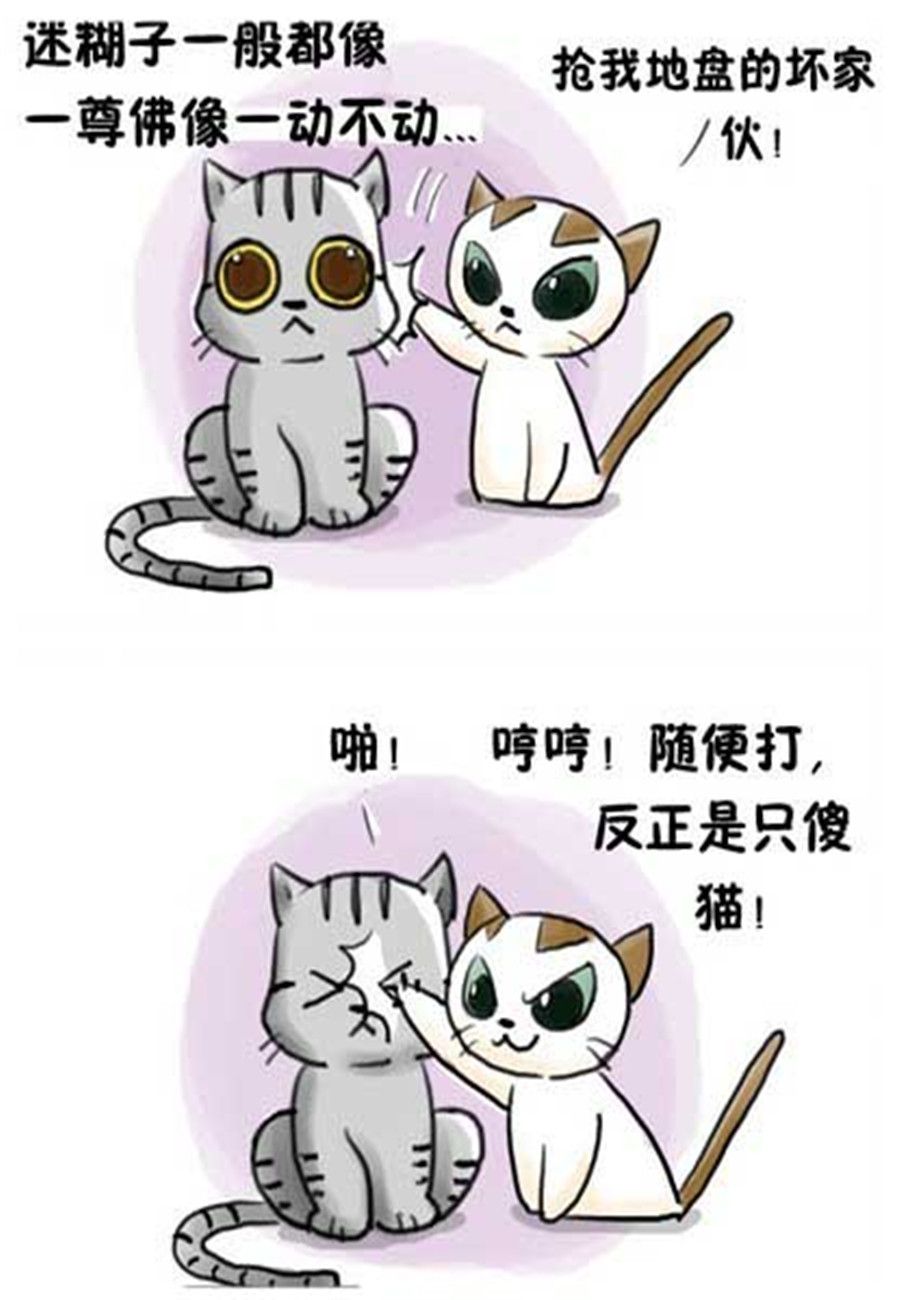 《喵喵家族》喵喵家族 第12集 第2页