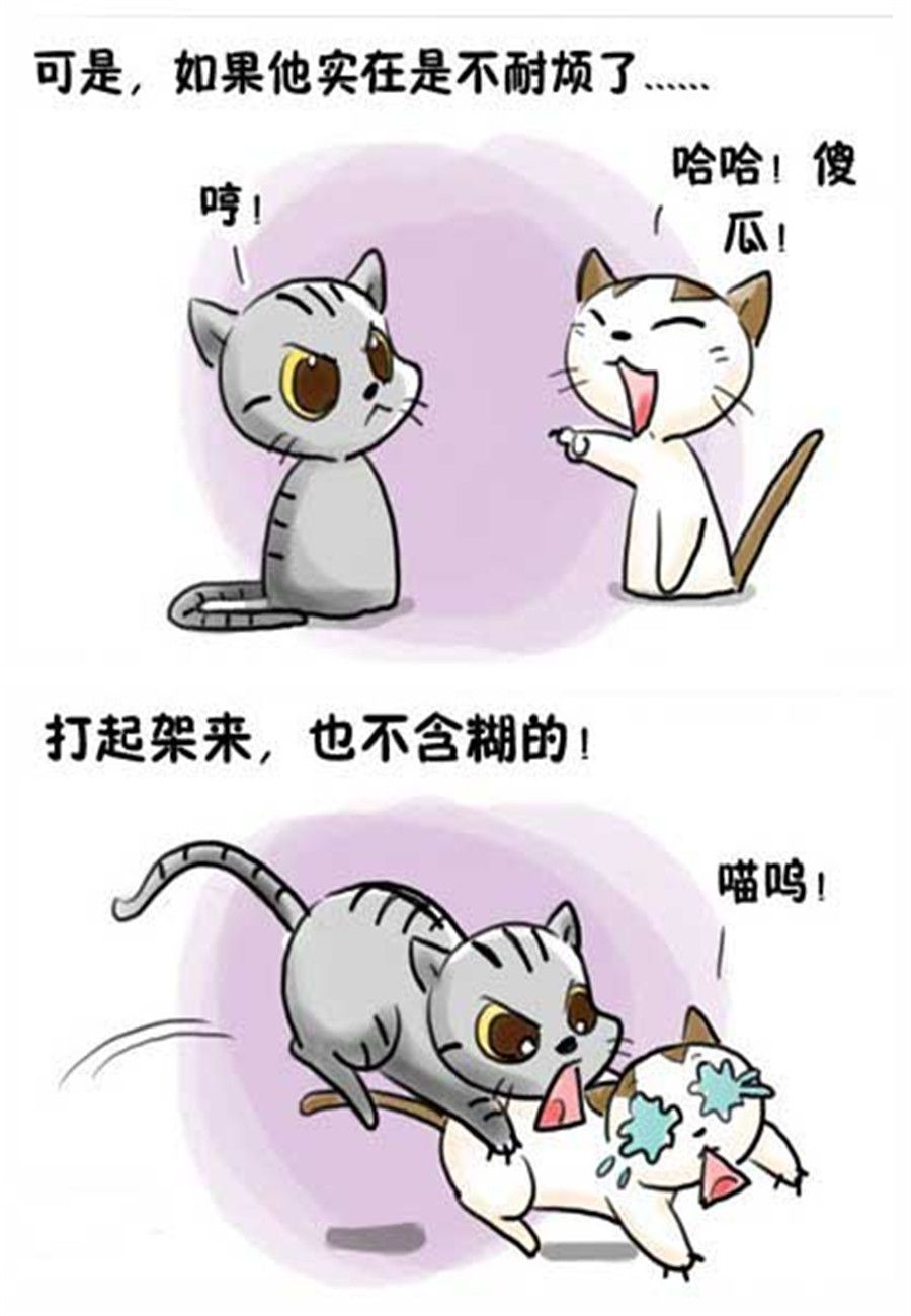 《喵喵家族》喵喵家族 第12集 第3页