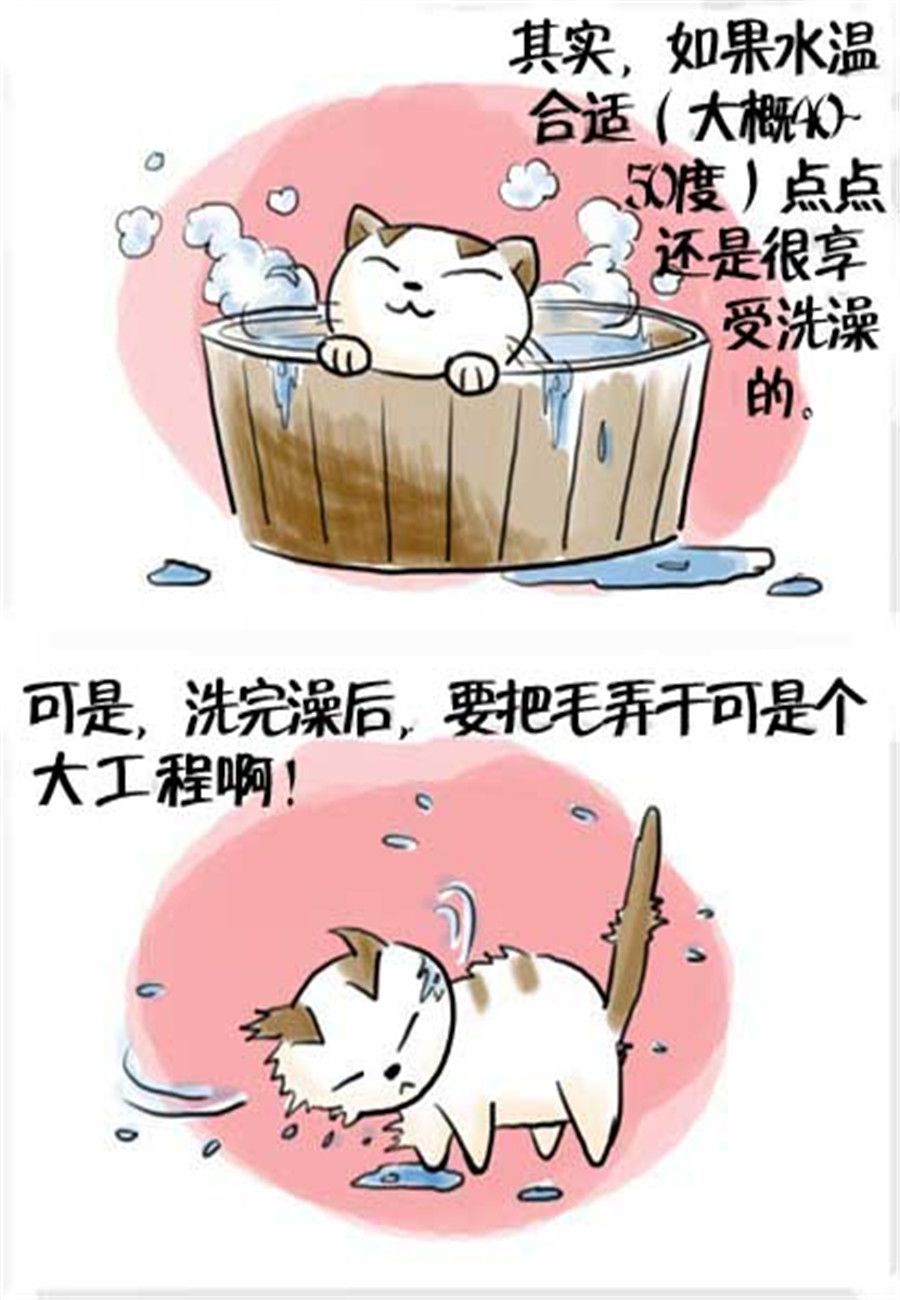 《喵喵家族》喵喵家族 第15集 第2页