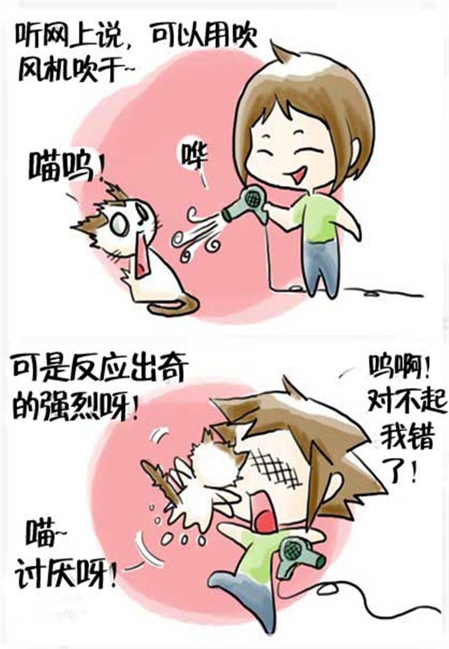 《喵喵家族》喵喵家族 第15集 第3页