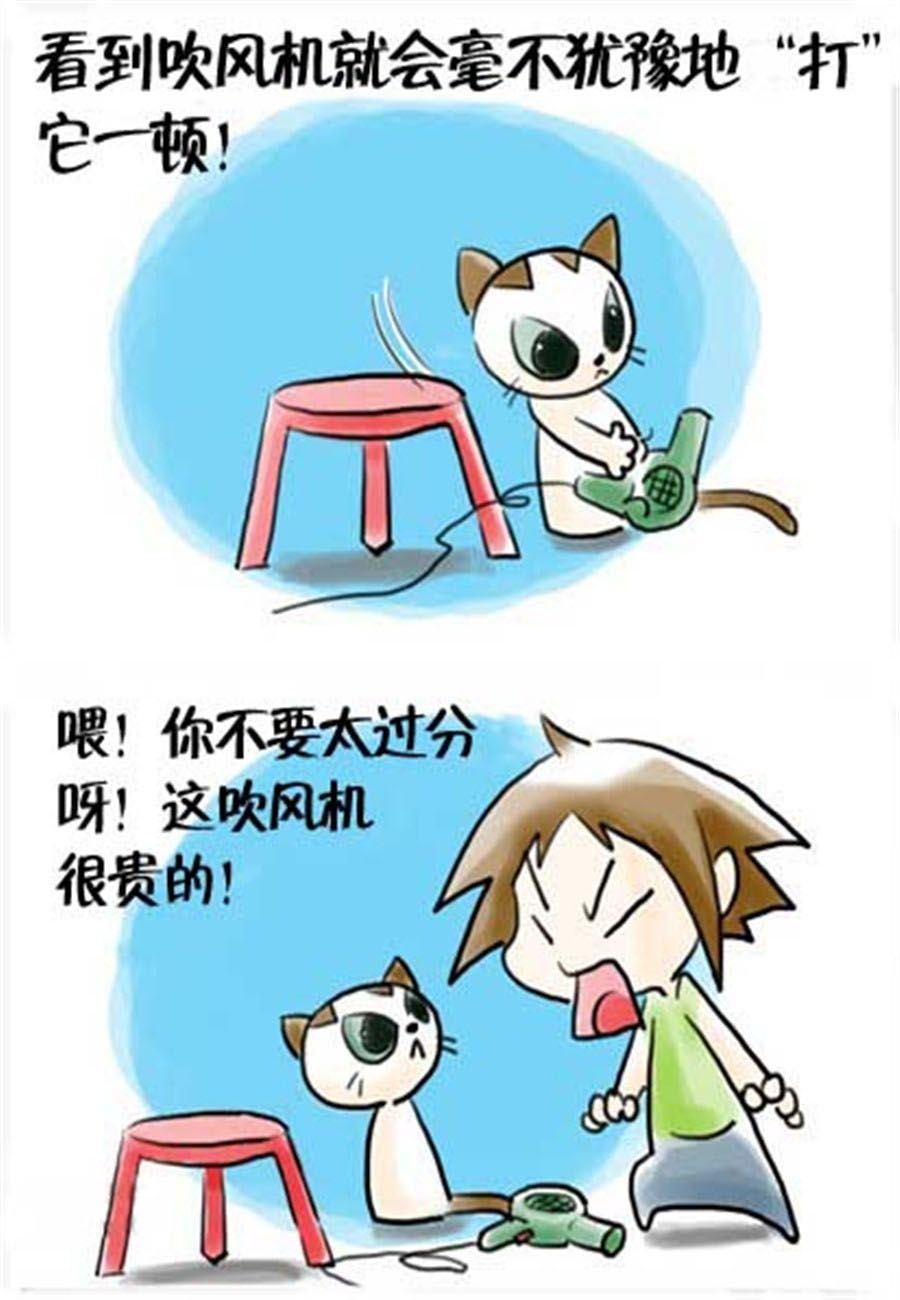 《喵喵家族》喵喵家族 第15集 第5页