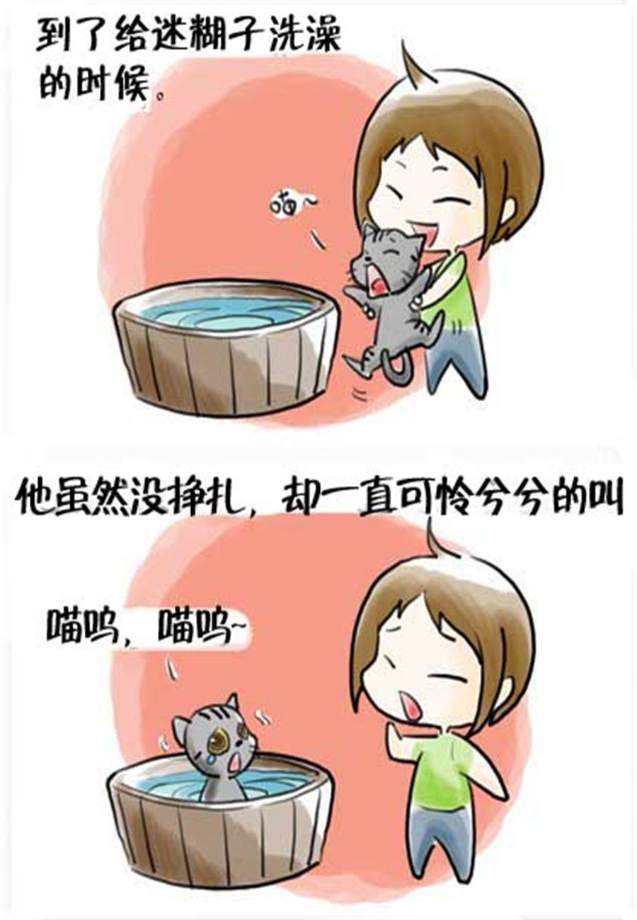 《喵喵家族》喵喵家族 第15集 第6页