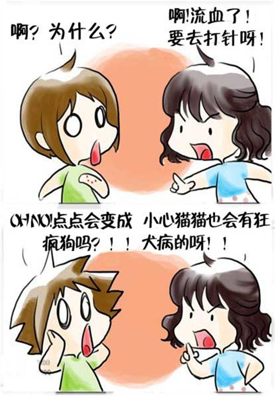 《喵喵家族》喵喵家族 第16集 第3页