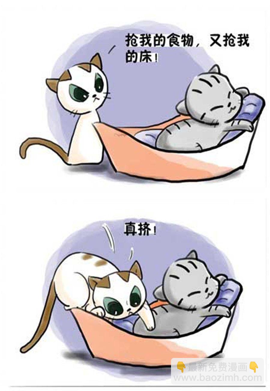 《喵喵家族》喵喵家族 第14集 第2页