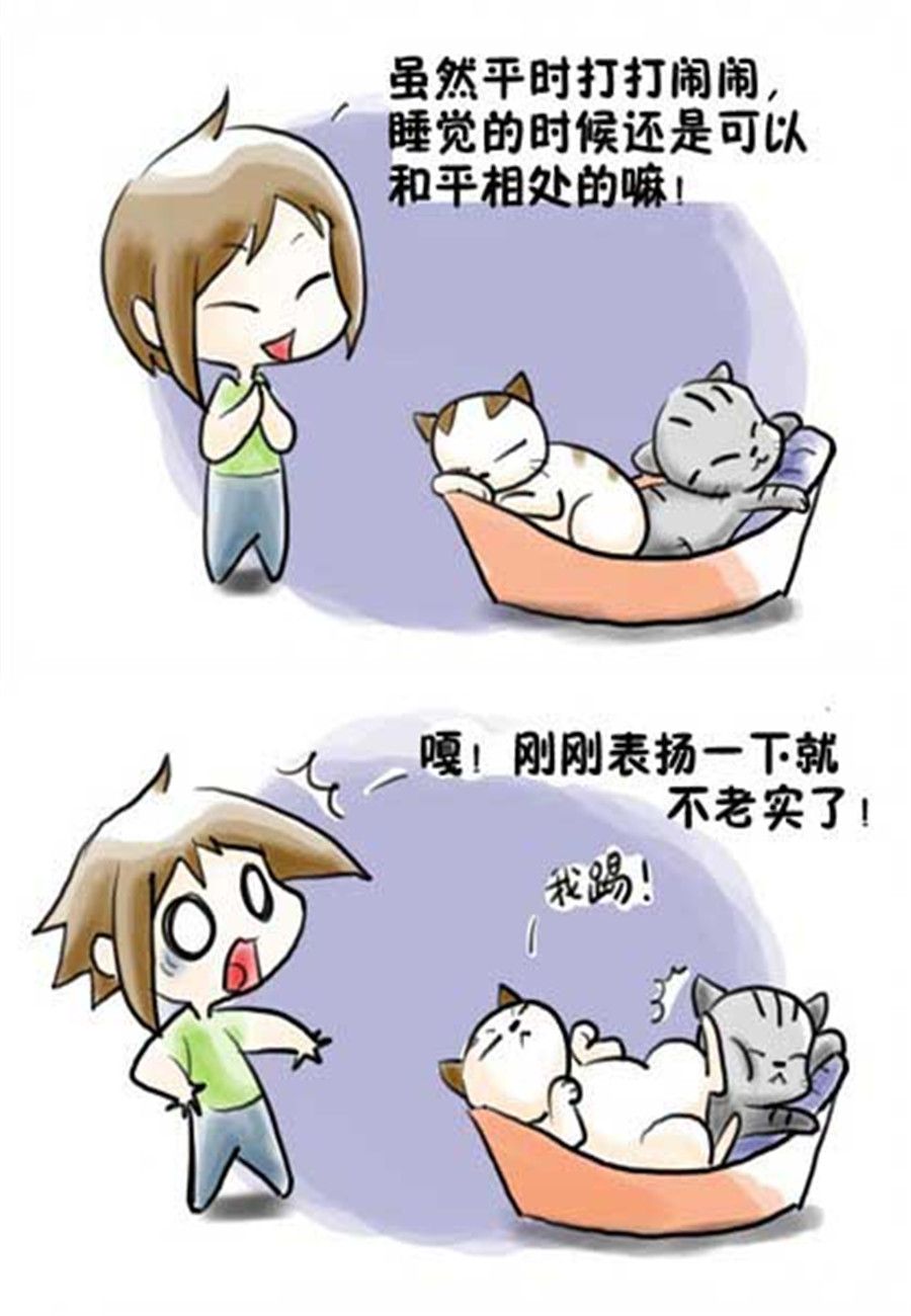 《喵喵家族》喵喵家族 第14集 第3页