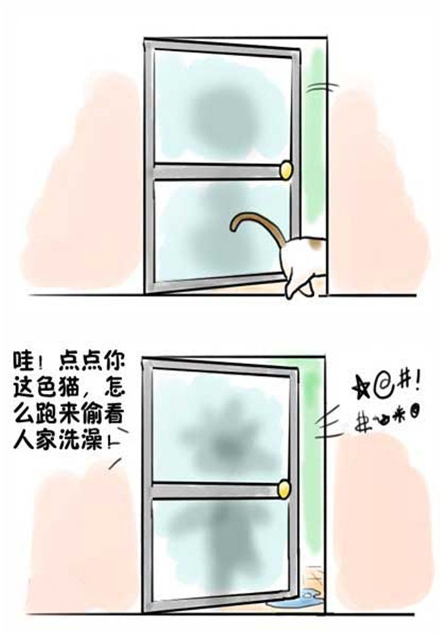《喵喵家族》喵喵家族 第14集 第5页