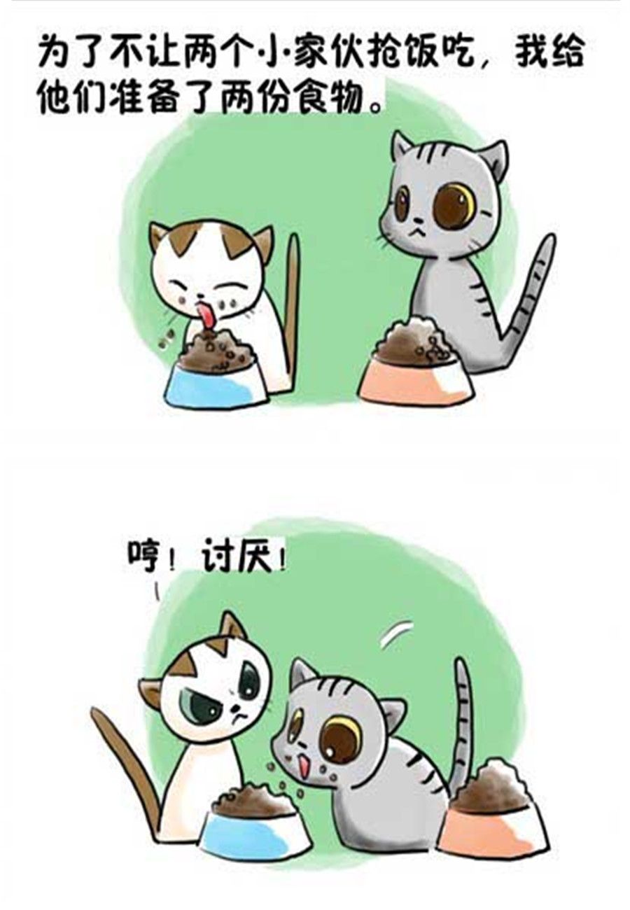 《喵喵家族》喵喵家族 第13集 第3页