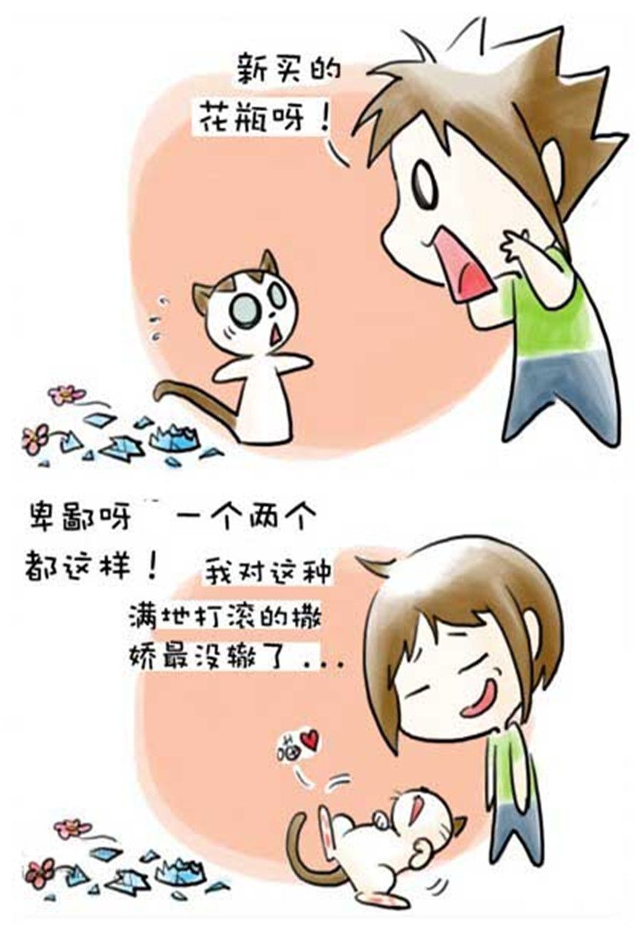 《喵喵家族》喵喵家族 第13集 第6页