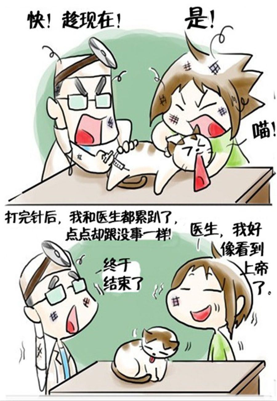 《喵喵家族》喵喵家族 第18集 第3页