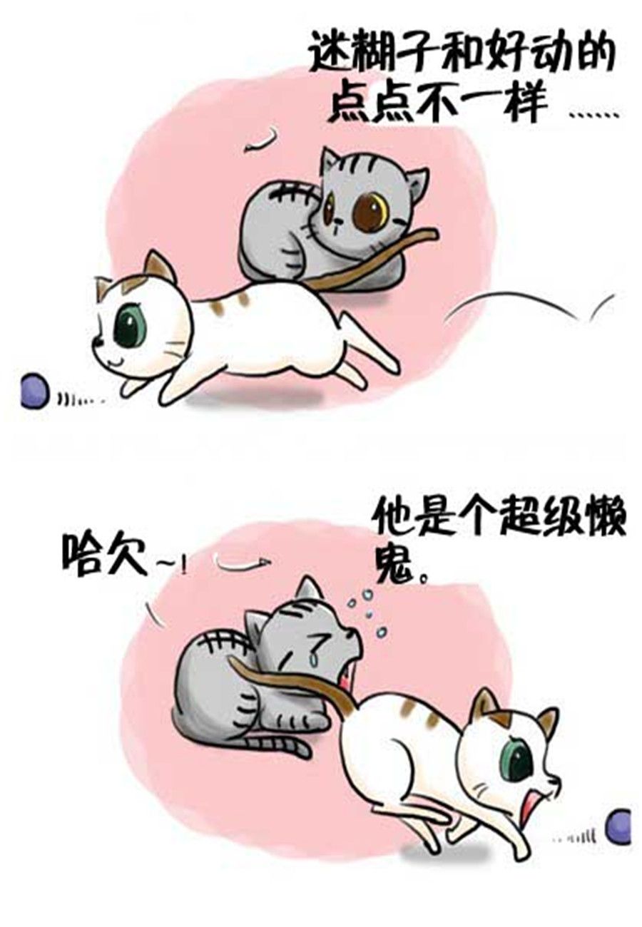 《喵喵家族》喵喵家族 第18集 第4页