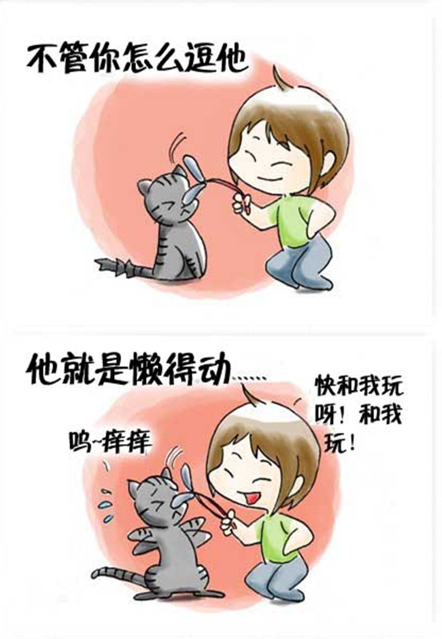《喵喵家族》喵喵家族 第19集 第3页