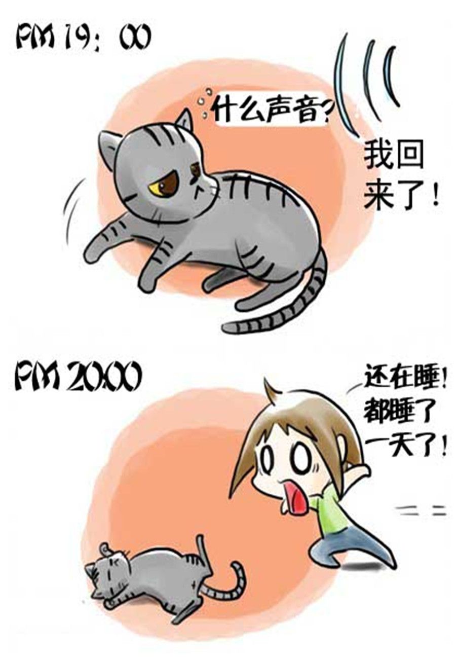 《喵喵家族》喵喵家族 第18集 第7页