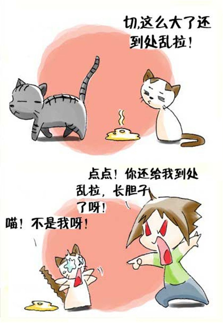 《喵喵家族》喵喵家族 第20集 第7页