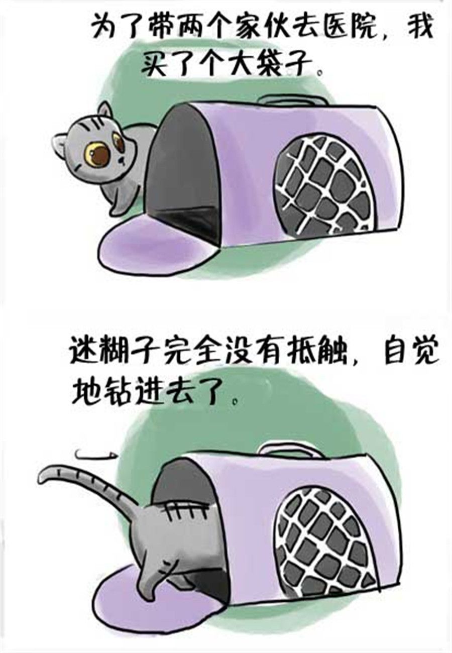 《喵喵家族》喵喵家族 第17集 第2页