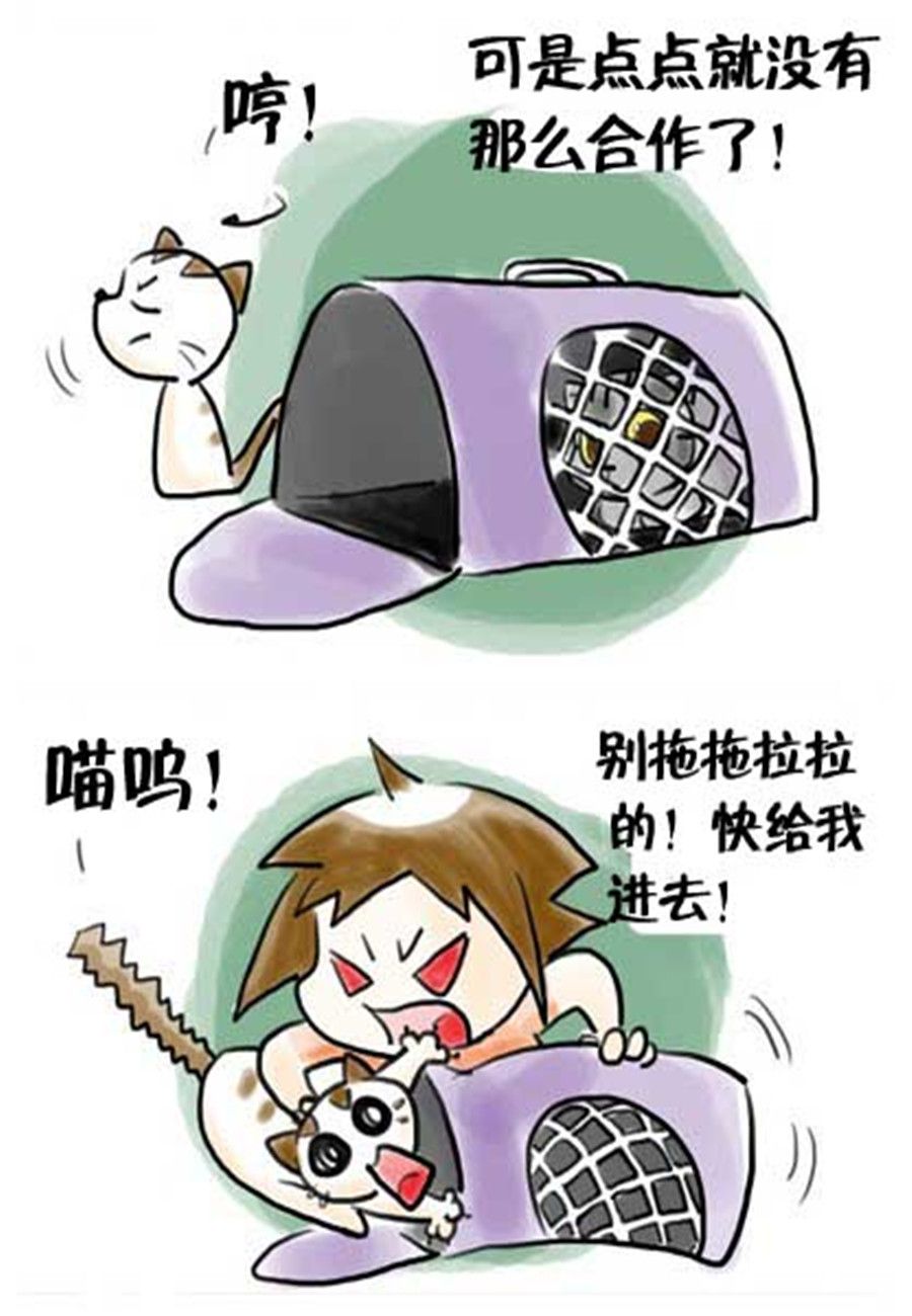 《喵喵家族》喵喵家族 第17集 第3页