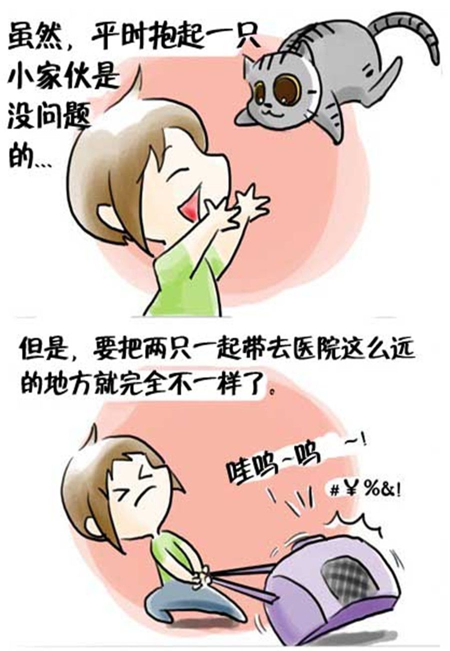 《喵喵家族》喵喵家族 第17集 第4页