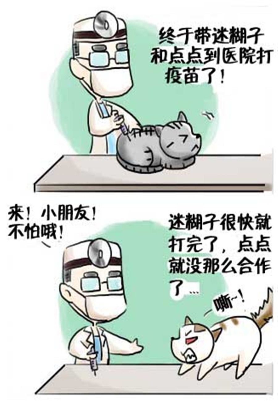 《喵喵家族》喵喵家族 第17集 第6页