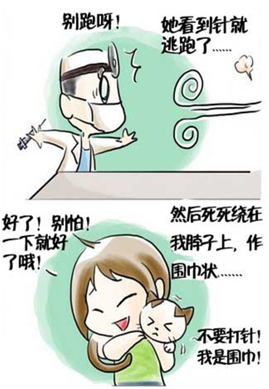 《喵喵家族》喵喵家族 第17集 第7页