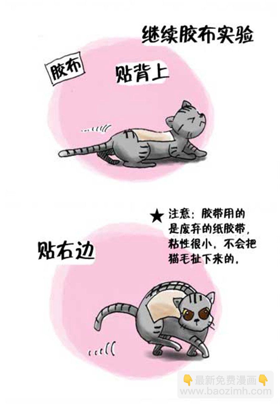 《喵喵家族》喵喵家族 第20集 第2页