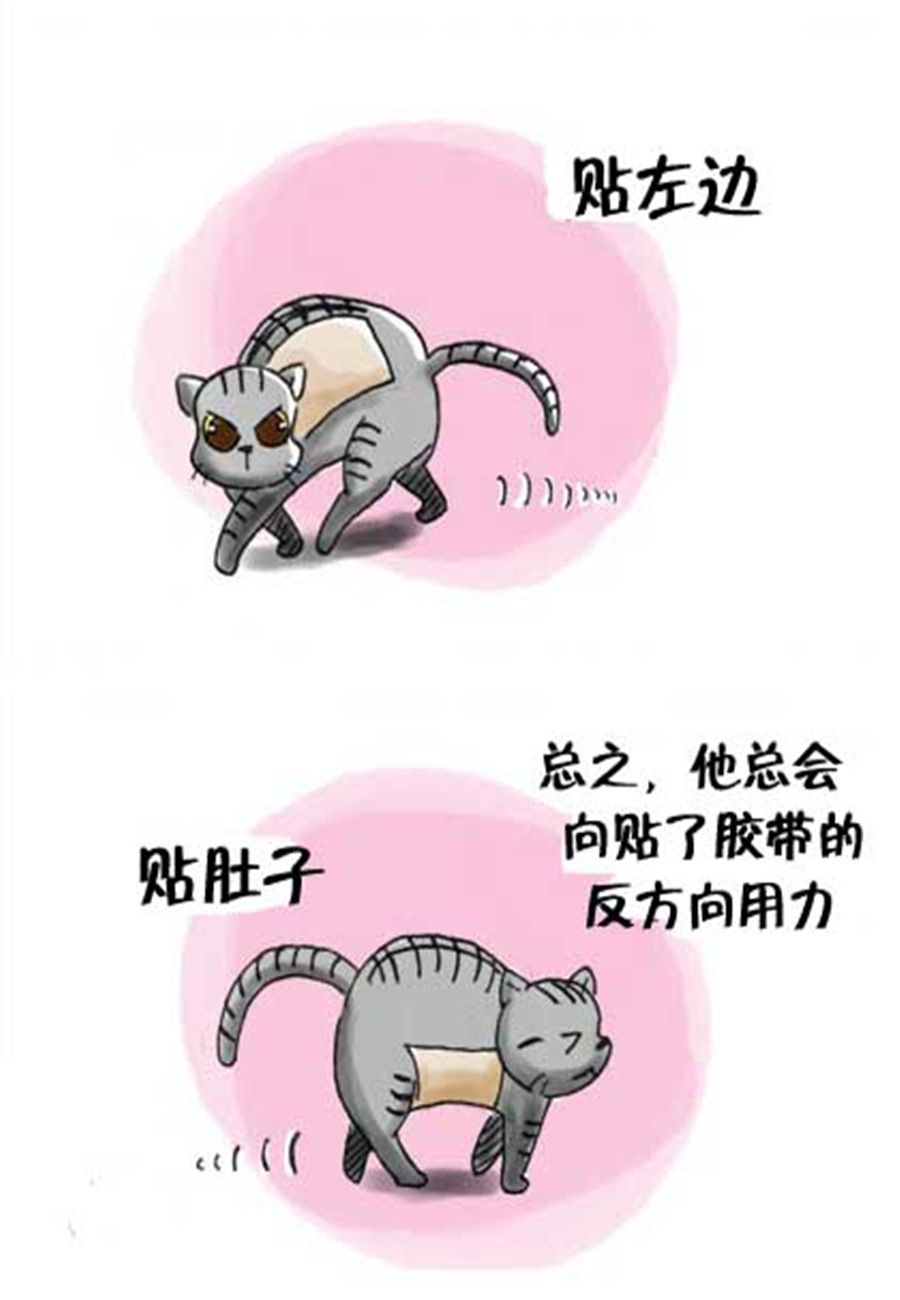 《喵喵家族》喵喵家族 第20集 第3页