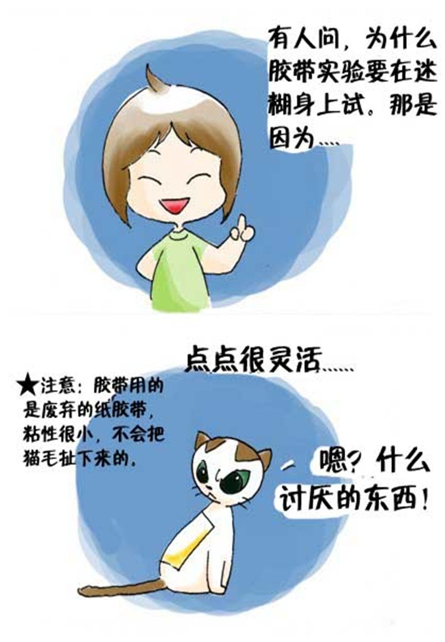 《喵喵家族》喵喵家族 第20集 第4页